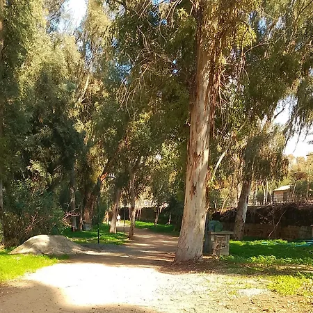 アパート Alfarome60 *