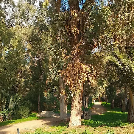 Alfarome60 Apartament Nicosia