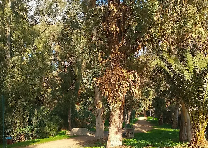 Alfarome60 Appartamento Nicosia